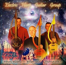 Electric Harp Guitar Group